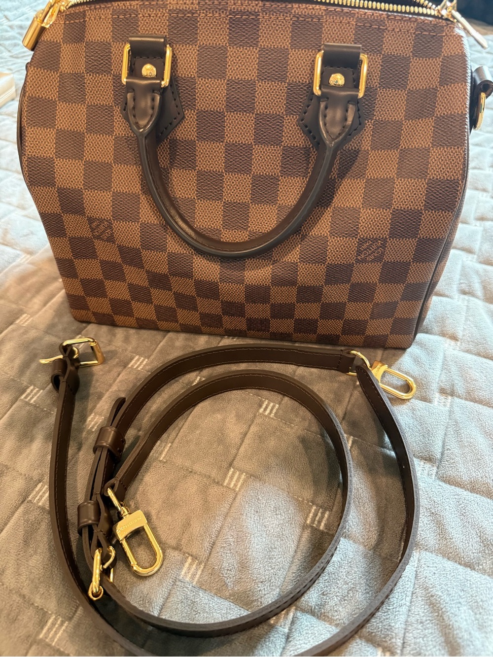 Louis Vuitton Speedy 25 Bandoulier Damier Ebene